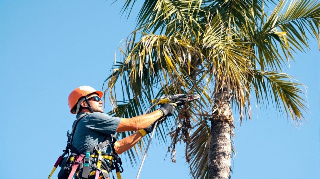 Detailed landscaping work